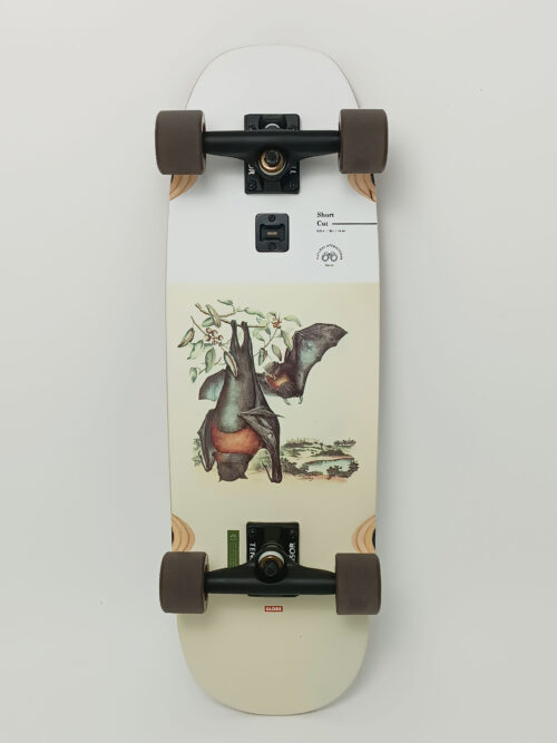 Cruiser Globe ShortCut